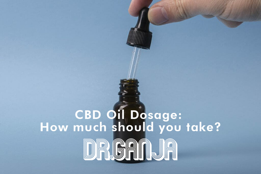 CBD Hemp Oil Dosage How Much Should You Take Dr Ganja